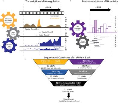 Uncovering Transcriptional Regulators and Targets of sRNAs Using an Integrative Data-Mining Approach: H-NS-Regulated RseX as a Case Study